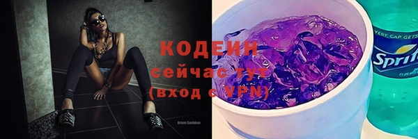 спиды Ладушкин