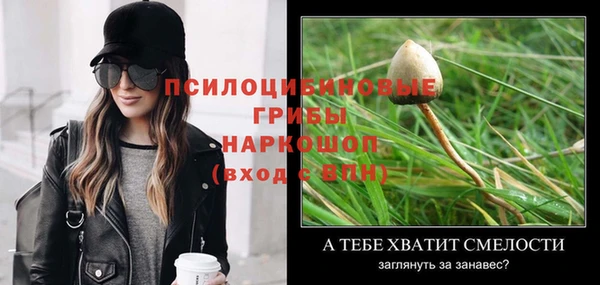 apvp Липки