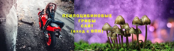 стаф Лагань