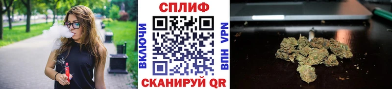 Каннабис White Widow  продажа наркотиков  дарк нет какой сайт  Сураж 